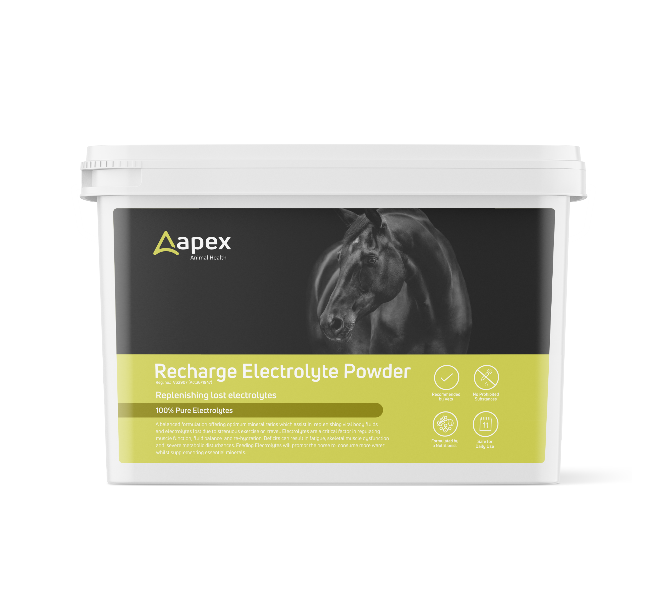 Recharge Electrolyte Powder - Image 2