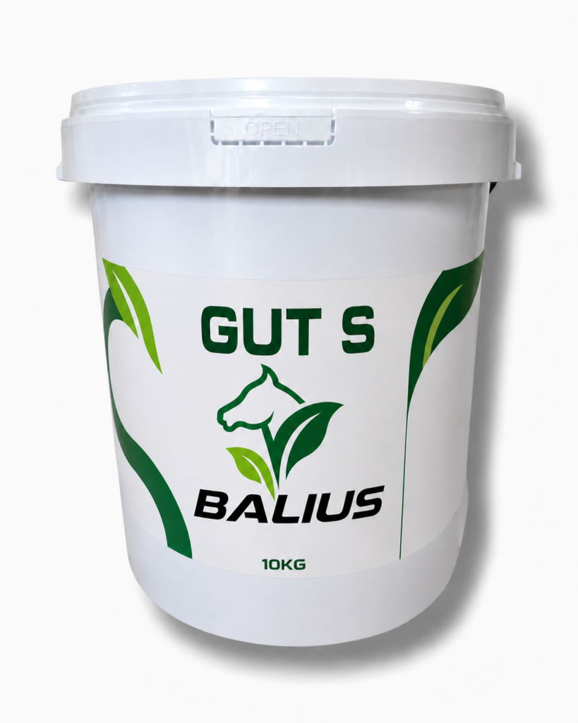 Balius Gut Solution