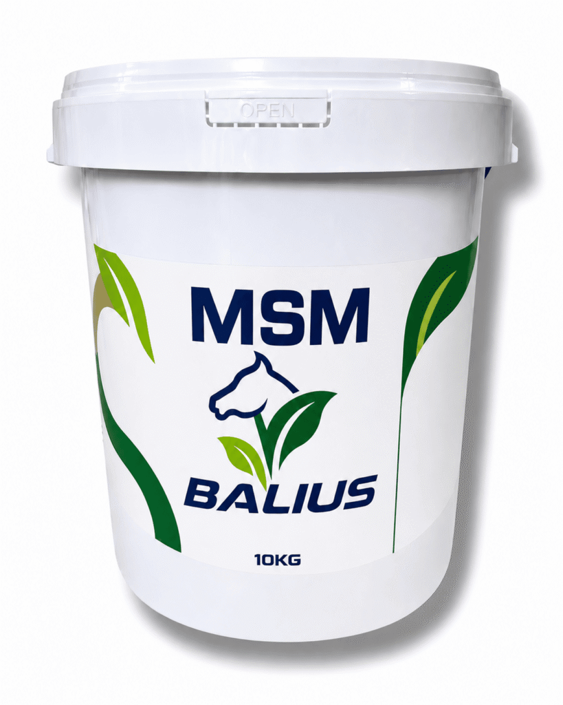 Balius MSM Powder