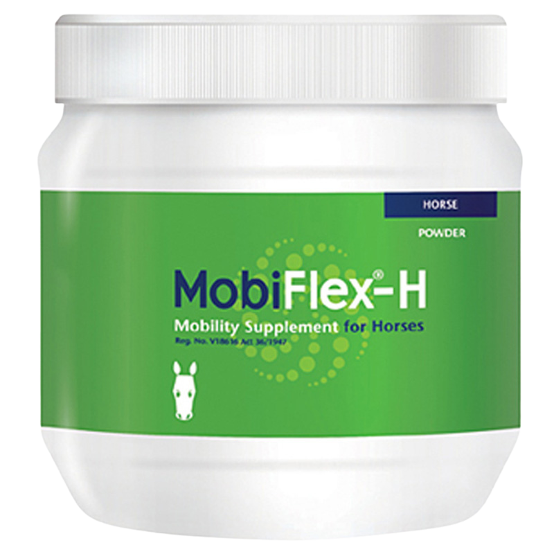 MobiFlex-H 500g