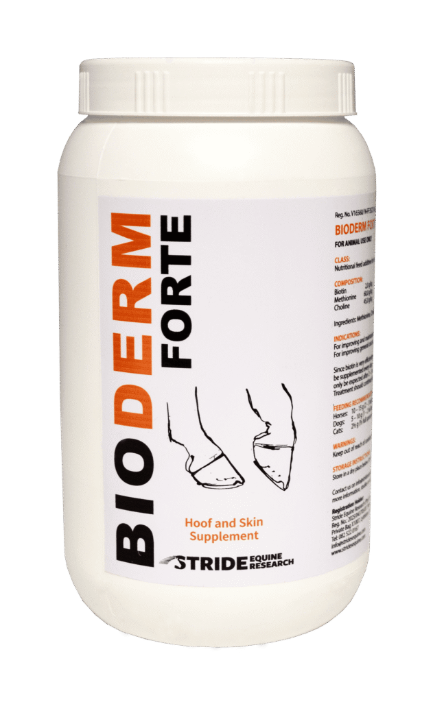 Bioderm Forte 1kg