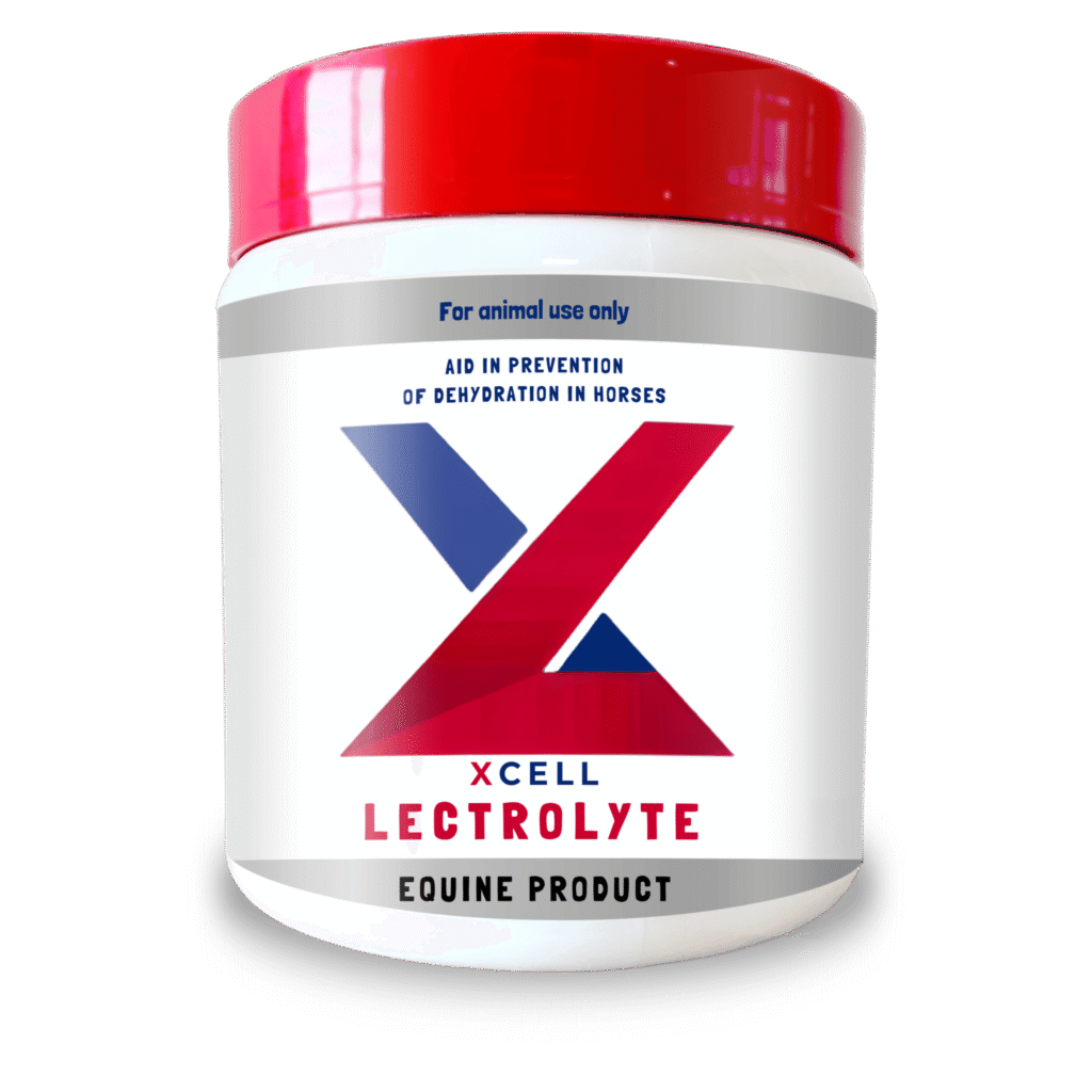 Lectrolyte Equine Powder 1kg