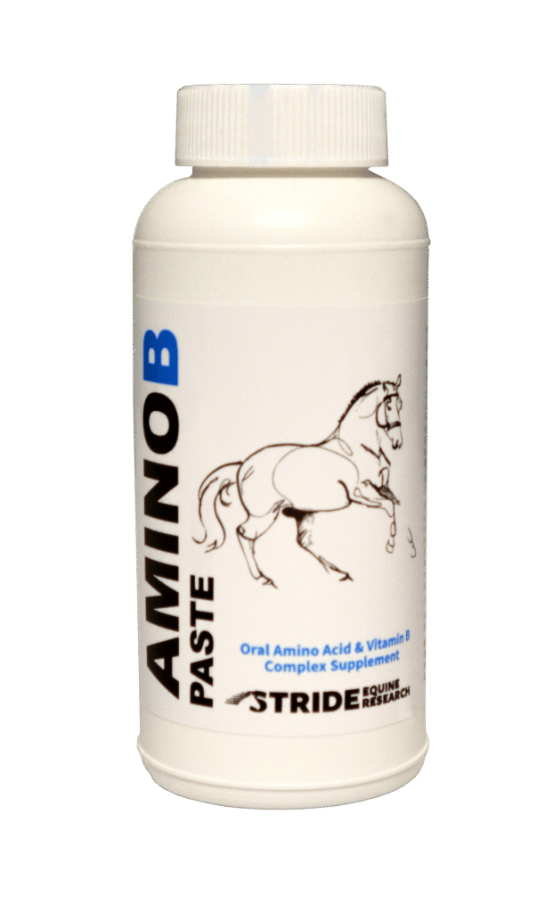 Amino B Paste 250ml
