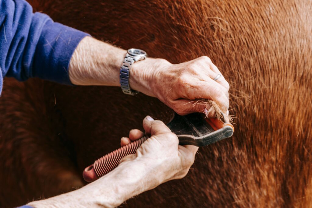 Grooming