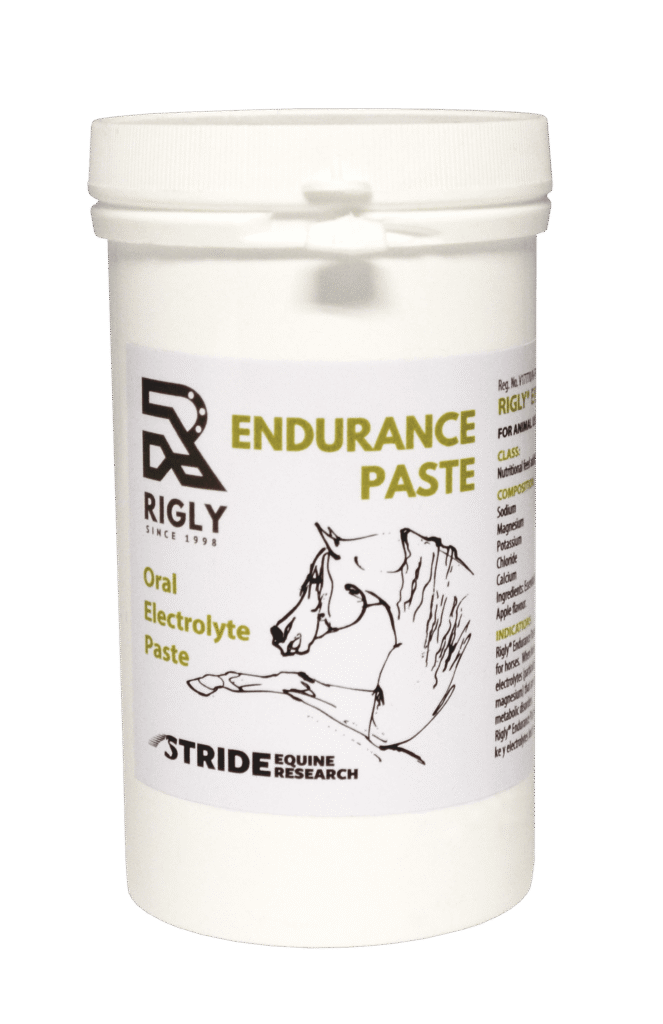 Rigly® Endurance Paste