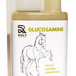 Rigly Glucosamine