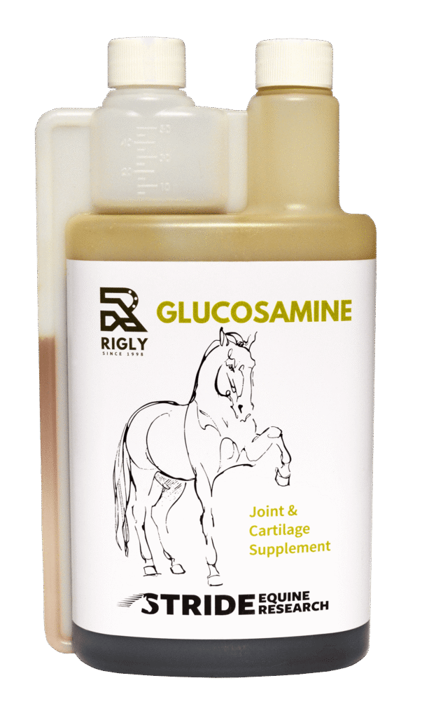 Rigly Glucosamine